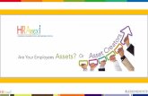 HR Anexi - Corporate Profile