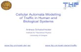 Traffic human-ca