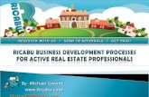 2011 Ricabu Business Development Processes For Active Real Estate V2 1 Show Only