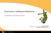 SafeNet EMS Showcase: Electronic Software Delivery - Challenges and Opportunities to Win the Consumer
