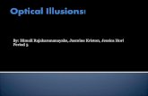 Calculus illusion ppt 97 version