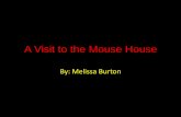 A Visit to the mouse house