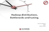 Обзор Hadoop-дистрибутивов. Тюнинг «узких мест» Hadoop