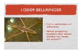 1 20 Bellringer