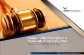 Damages In A Tbi Trial