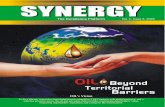 Synergyvol 2 issue2