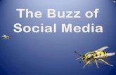The buzz of social media  pps