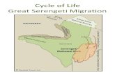Cycle of Life - Great Serengeti Migration