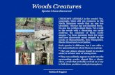 Woods Creatures