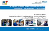 R. malin business models and economic issues of telehealth experiences of yorkshire