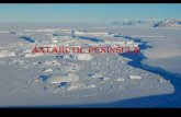 Antarctic peninsula