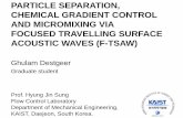 PARTICLE SEPARATION, CHEMICAL GRADIENT CONTROL AND MICROMIXING VIA FOCUSED TRAVELLING SURFACE ACOUSTIC WAVES (F-TSAW)