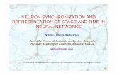 Neuron Synchronization and Representation of Space and Time in Neural Networks