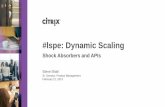 #lspe: Dynamic Scaling