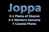 Joppa region