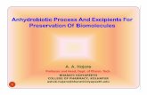Anhydrobiotic process and excipients for preservation of biomolecules
