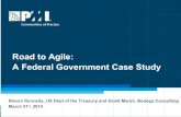 Road to agile: federal government case study