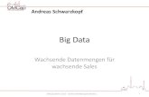 OMCap Vortrag: Big Data - Wachsende Datenmenge für wachsende Sales