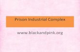 Black and pink prison industrial complex presentation