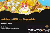 Jolokia - JMX on Capsaicin (Devoxx 2011)