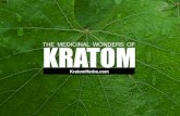 The Medicinal Wonders of Kratom