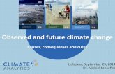 Michiel Schaeffer: Observed and future climate change:   Causes, consequenses and cures