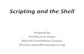 Scripting and the shell in LINUX