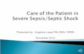 Care of the patient in severe sepsis septic shock nursing inservice 2012