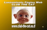 Fiesta Club The Cat