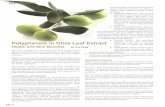 Olive tree extract2