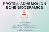 Protein adhesion on bone bioceramics