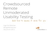 Crowdsourced Remote Unmoderated Usability Testing