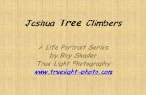 Joshua Tree Climbers