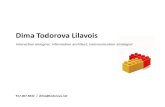Dima Todorova-Lilavois: Recent Work