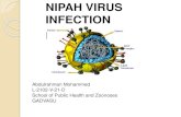 Nipah Virus infection