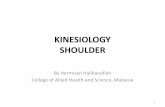 Kinesiology of the Shoulder