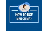 MailChimp Tutorial: How to Use MailChimp?