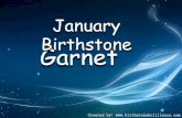 January birthstone (1)