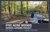 Five Acre Woods