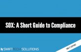 SOX: A Short Guide to Compliance