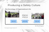 Producing A Safety Culture Part 2