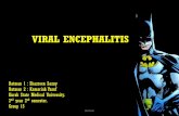 Viral encephalitis pt (batman version)