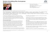 Understanding the european debt crisis