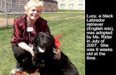Lucy the Therapy Dog