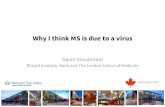 Why i think ms is an infectious disease for the blog