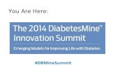 Patient Voices at the 2014 DiabetesMine Innovation Summit (Lunch Slides)