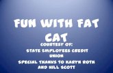 Fun with Fat Cat