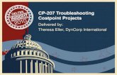 Deltek Insight 2010: Troubleshooting Costpoint Projects