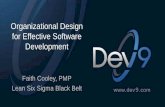 Organizational Design for Effective Software Development