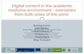 Digital content in the academic medicine environment - exemplars from both sides of the pond